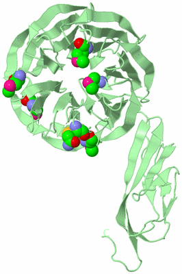 Image Biological Unit 2