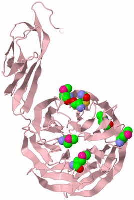 Image Biological Unit 3