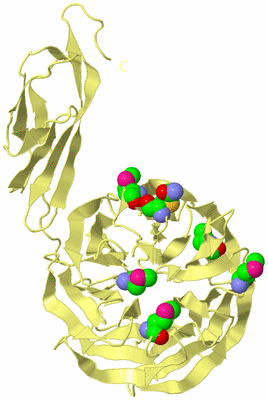 Image Biological Unit 4