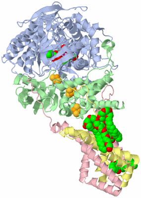 Image Biological Unit 1