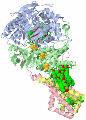 Image Biol. Unit 1 - sites