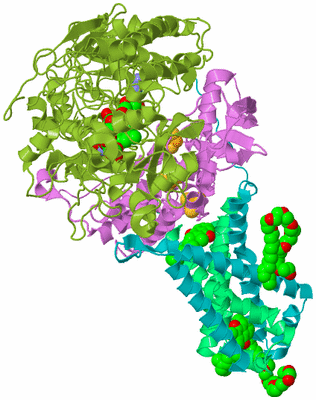 Image Biological Unit 2