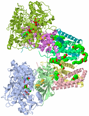 Image Biological Unit 3