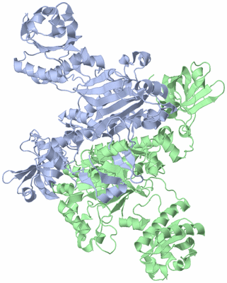 Image Asym./Biol. Unit