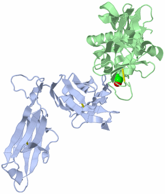 Image Biological Unit 1