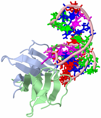 Image NMR Structure - model 1