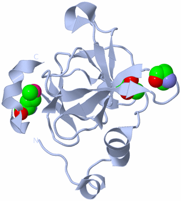 Image Biological Unit 1