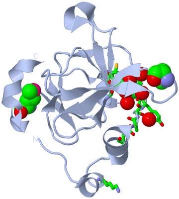 Image Biol. Unit 1 - sites