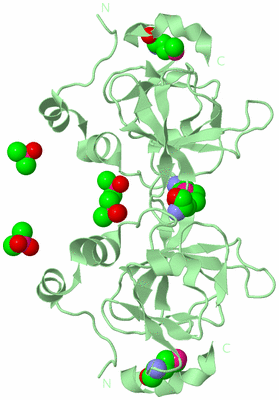 Image Biological Unit 3