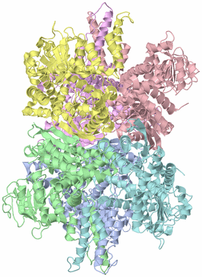 Image Asym./Biol. Unit