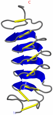 Image NMR Structure - model 1