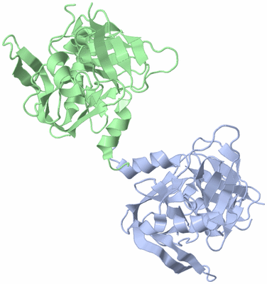 Image Asymmetric Unit