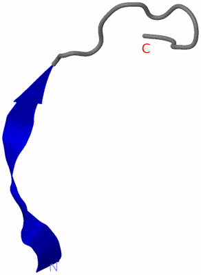 Image NMR Structure - model 1