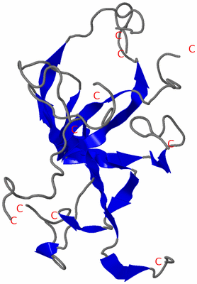 Image NMR Structure - all models