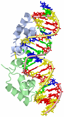 Image NMR Structure - model 1