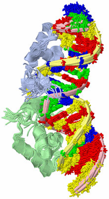 Image NMR Structure - all models