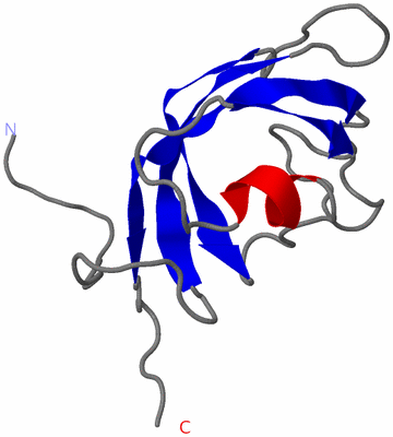 Image NMR Structure - model 1