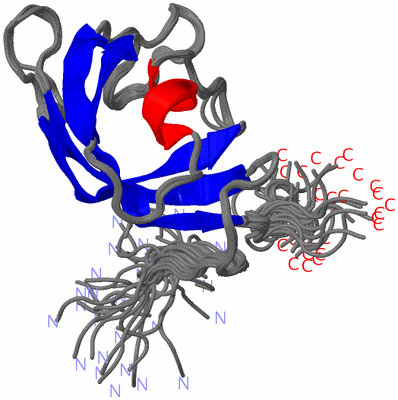 Image NMR Structure - all models