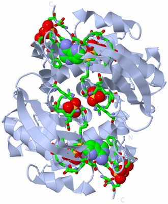 Image Biol. Unit 1 - sites