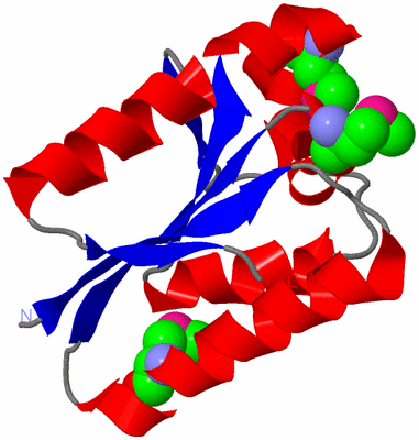 Image Asymmetric Unit