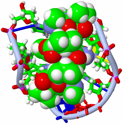 Image NMR Structure - model 1, sites