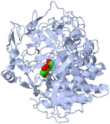 Image Biological Unit 1