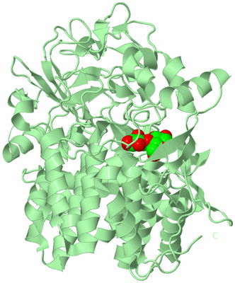 Image Biological Unit 2