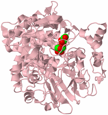 Image Biological Unit 3