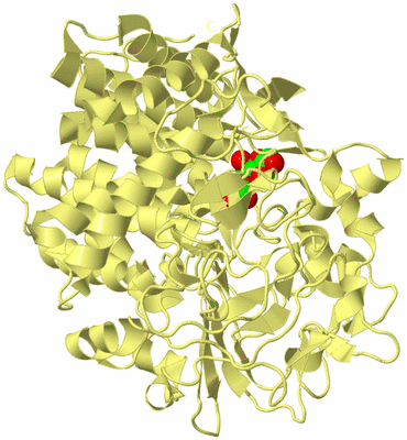 Image Biological Unit 4