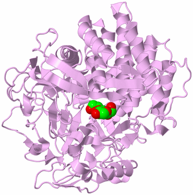 Image Biological Unit 5