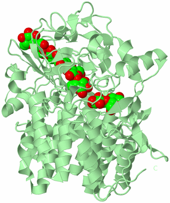 Image Biological Unit 2