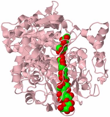 Image Biological Unit 3