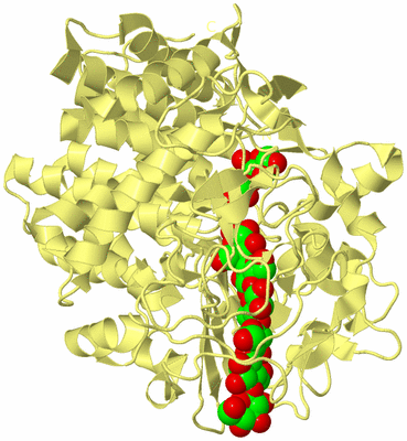 Image Biological Unit 4