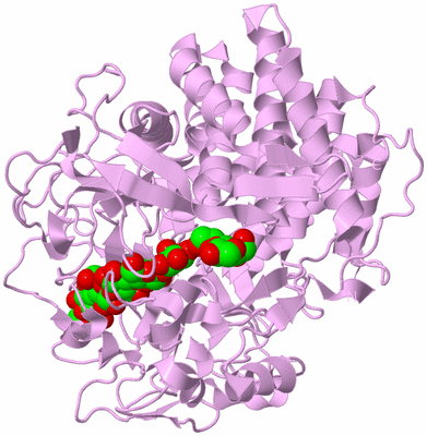 Image Biological Unit 5