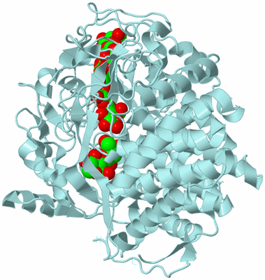 Image Biological Unit 6