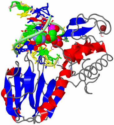 Image Asym./Biol. Unit