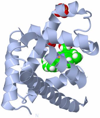 Image Biological Unit 1