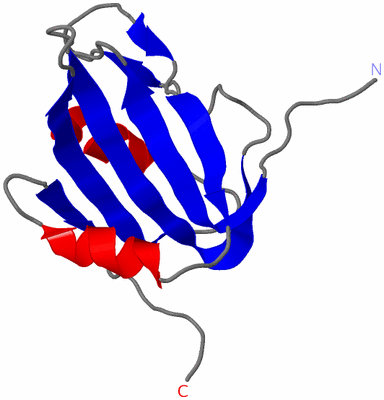 Image NMR Structure - model 1