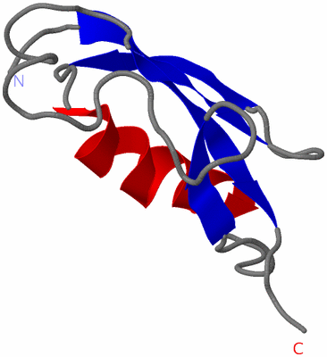 Image NMR Structure - model 1