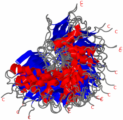 Image NMR Structure - all models