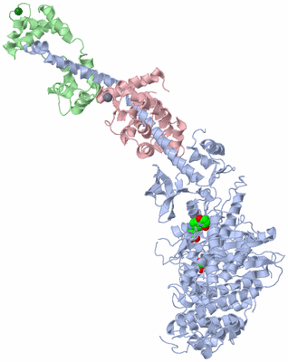 Image Asym./Biol. Unit