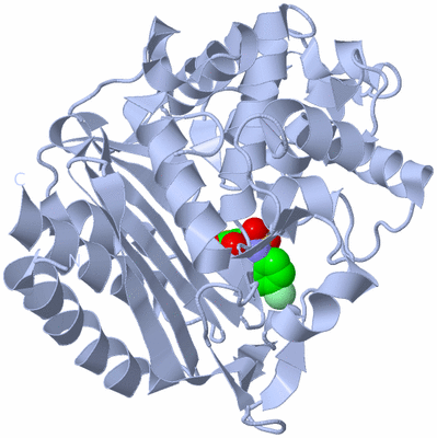 Image Biological Unit 1