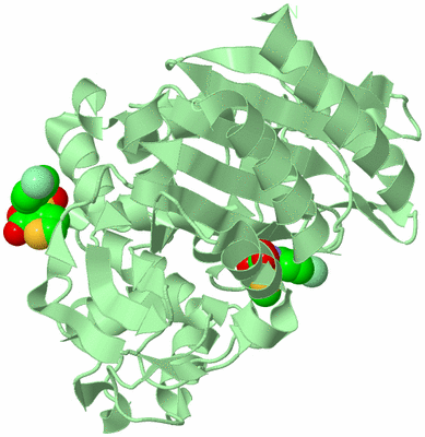 Image Biological Unit 2