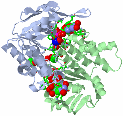 Image Biol. Unit 1 - sites