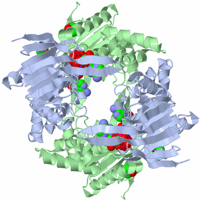 Image Biological Unit 2