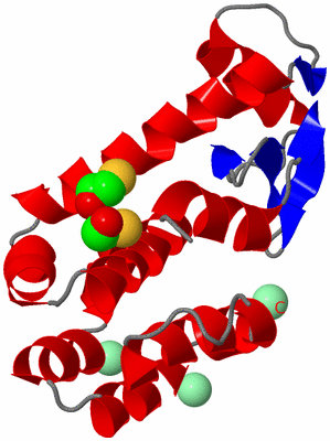 Image Asym./Biol. Unit