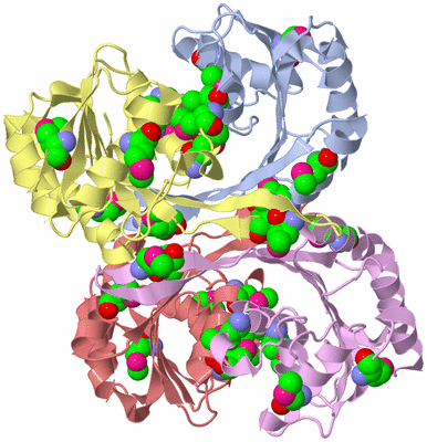 Image Biological Unit 1