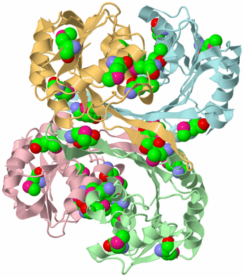 Image Biological Unit 2