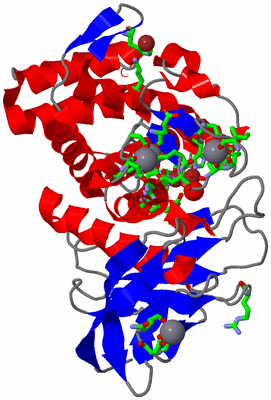 Image Asym./Biol. Unit - sites