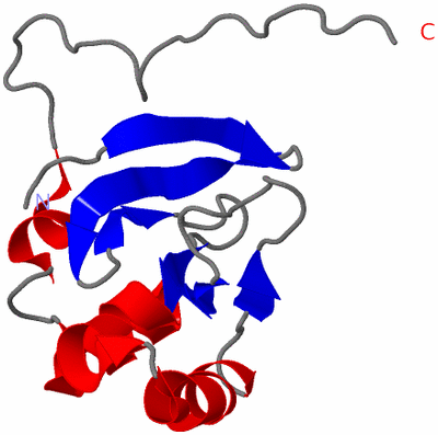 Image NMR Structure - model 1